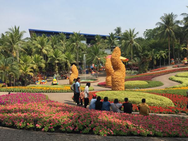 记录我们的泰国自助游