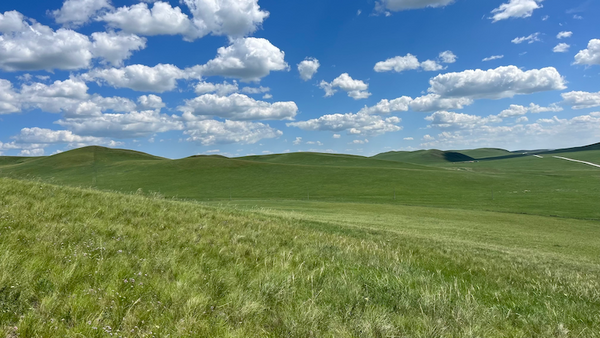 锡林郭勒草原行